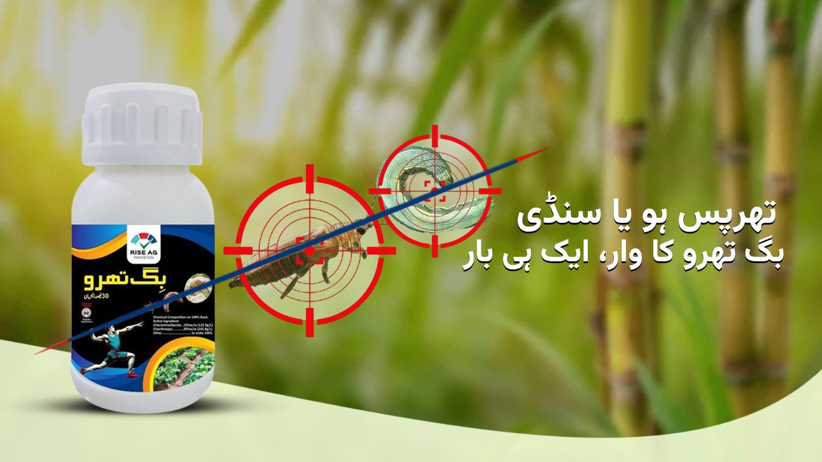 WhatsApp Image 2025-06-10 at 10.52.16 AM