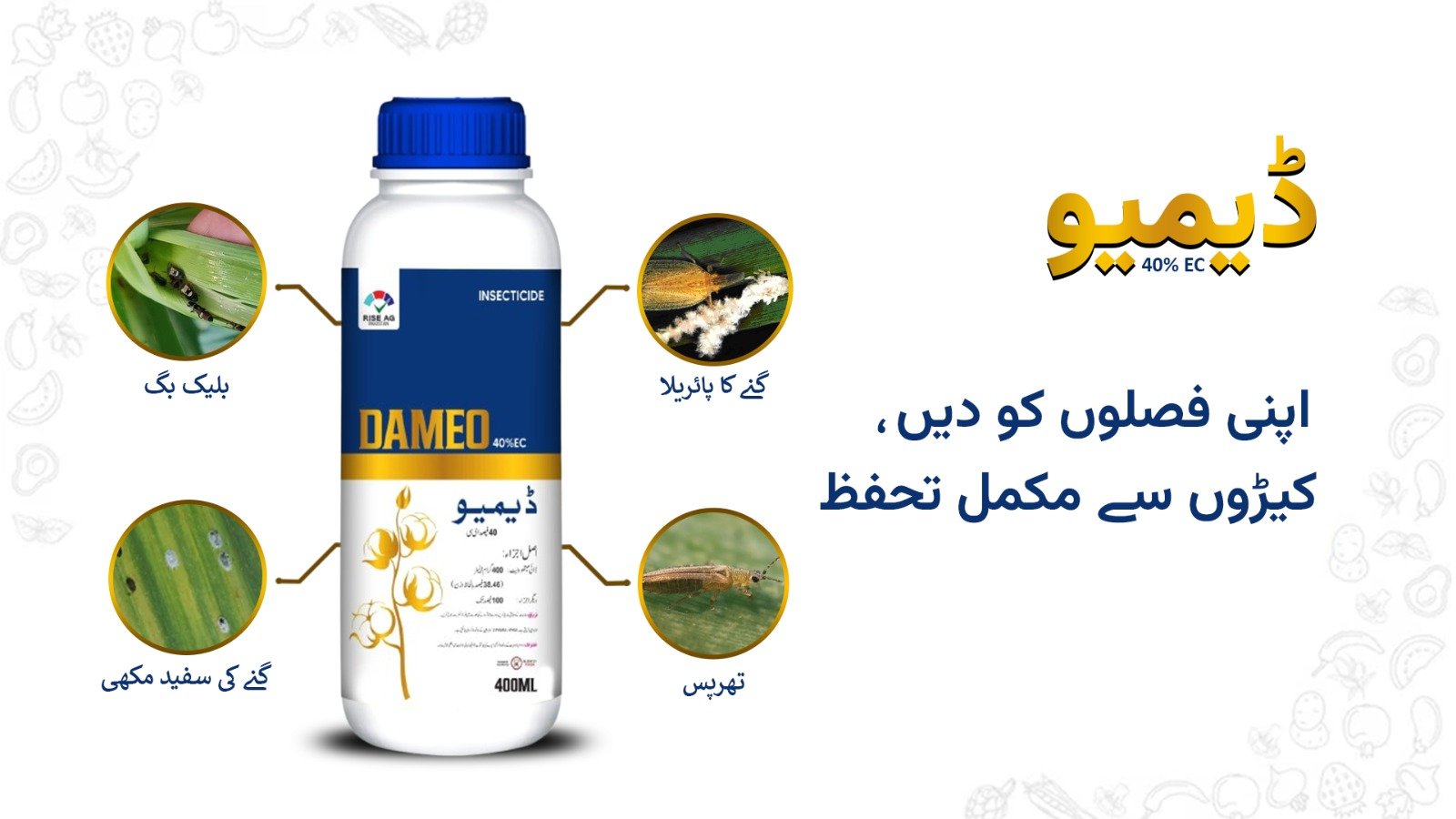 WhatsApp Image 2025-06-10 at 10.52.17 AM (1)