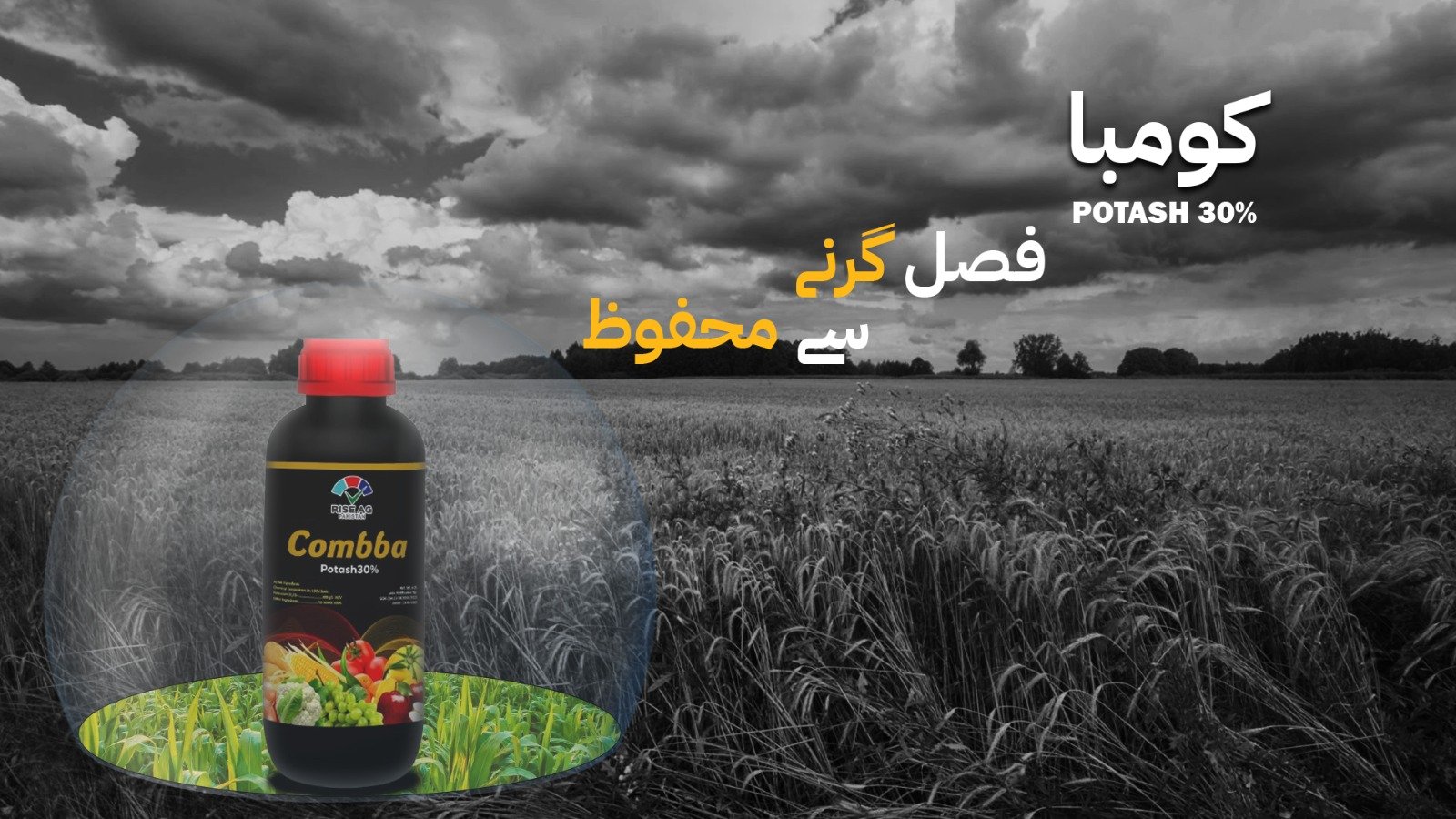 WhatsApp Image 2025-06-10 at 10.52.17 AM