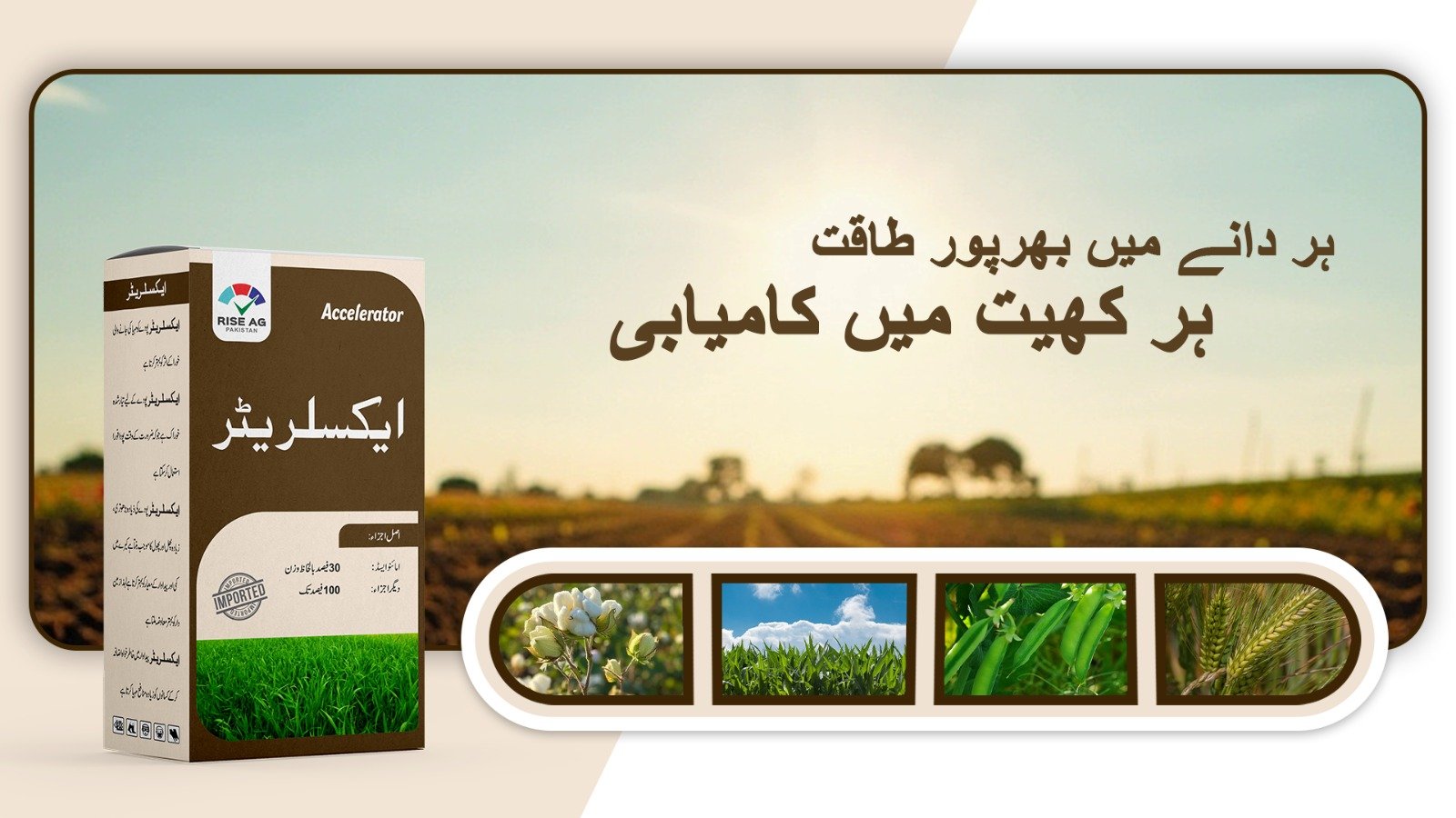 WhatsApp Image 2025-06-10 at 10.52.18 AM (1)