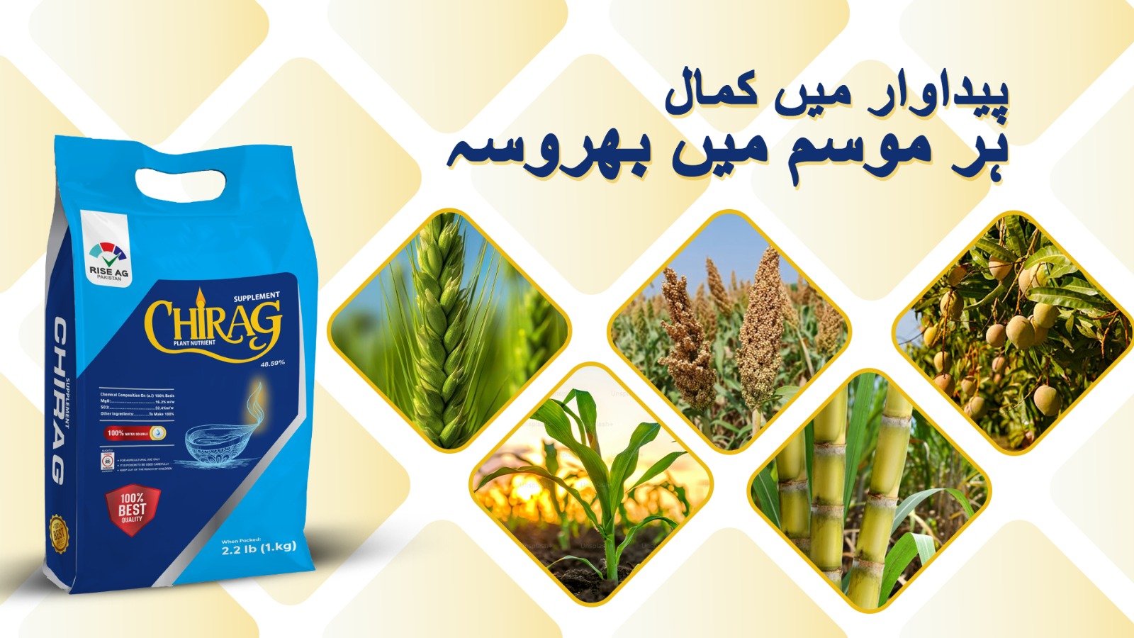 WhatsApp Image 2025-06-10 at 10.52.19 AM