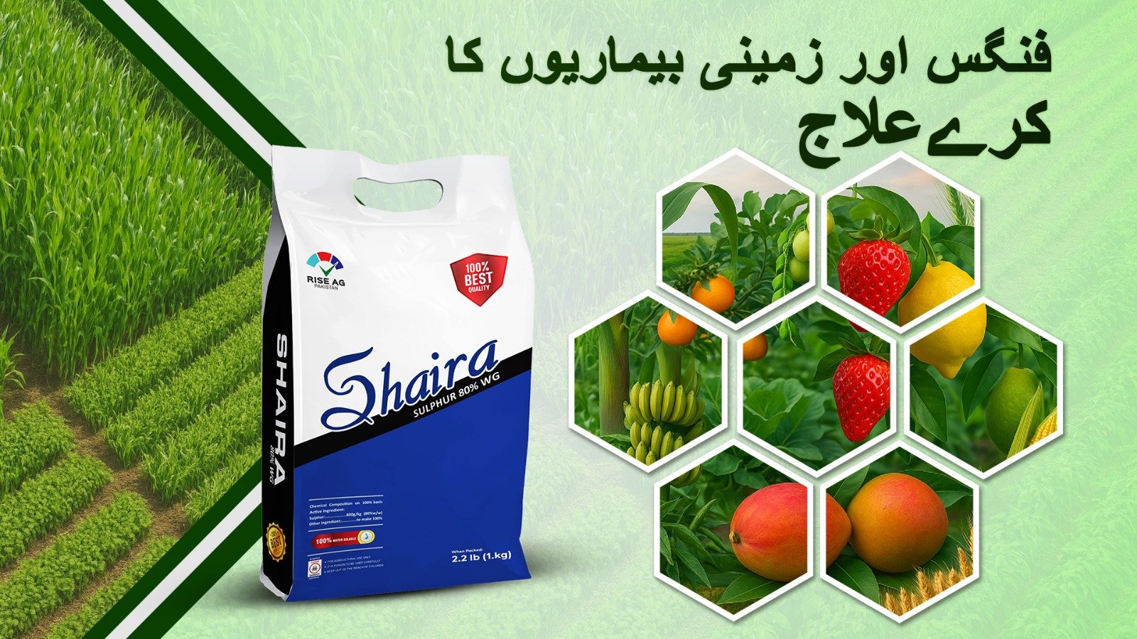 WhatsApp Image 2025-06-10 at 10.52.20 AM